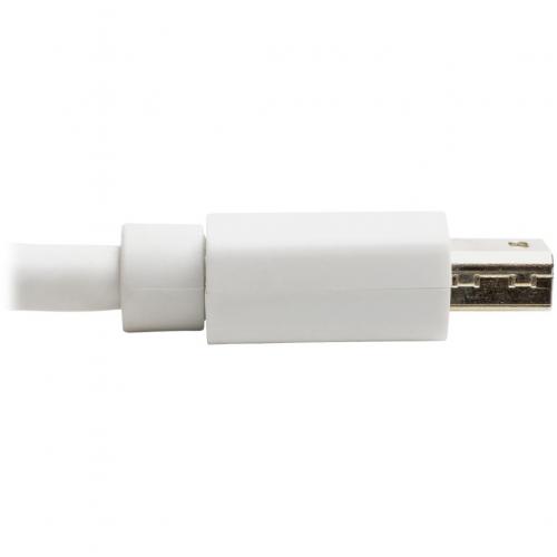Eaton Tripp Lite Series Keyspan Mini DisplayPort To DisplayPort Cable Adapter (M/F)   4K 60 Hz, DP 1.2, HDCP 2.2, 6 In. (15.2 Cm) Alternate-Image4/500