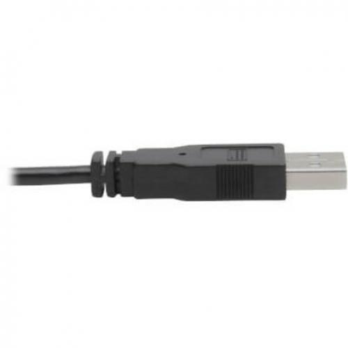 Tripp Lite By Eaton DVI To USB A Dual KVM Cable Kit   (2x Male/2x Male), 1920 X 1200 (1080p) @ 60 Hz, 10 Ft. (3.05 M) Alternate-Image4/500