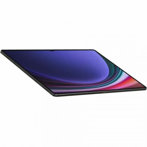 Samsung Galaxy Tab S9 Ultra SM X910 Rugged Tablet   14.6"   Qualcomm SM8550 AB Octa Core   16 GB   1 TB Storage   Android 13   Graphite Alternate-Image4/500