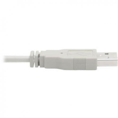 Tripp Lite By Eaton DVI To USB A Dual KVM Cable Kit   (2x Male/2x Male), 1920 X 1200 (1080p) @ 60 Hz, 10 Ft. (3.05 M) Alternate-Image5/500