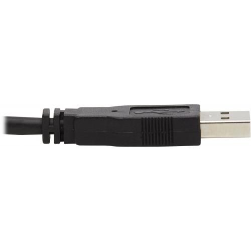 Tripp Lite By Eaton DisplayPort KVM Cable Kit, 3 In 1   4K DisplayPort, USB, 3.5 Mm Audio (3xM/3xM), 4:4:4, 6 Ft. (1.83 M), Black Alternate-Image5/500