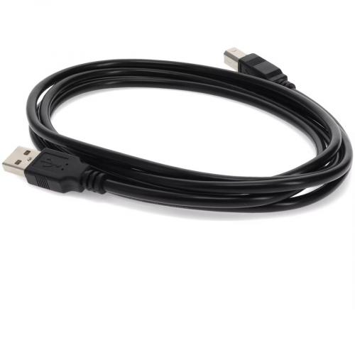 30ft (9m) USB A 2.0 Male To USB B 2.0 Male Black Printer Extension Cable Alternate-Image5/500