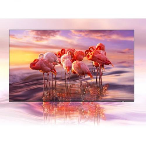 Samsung HQ60A HG43Q60AANF 43" Smart LED LCD TV   4K UHDTV   Titan Gray Alternate-Image5/500