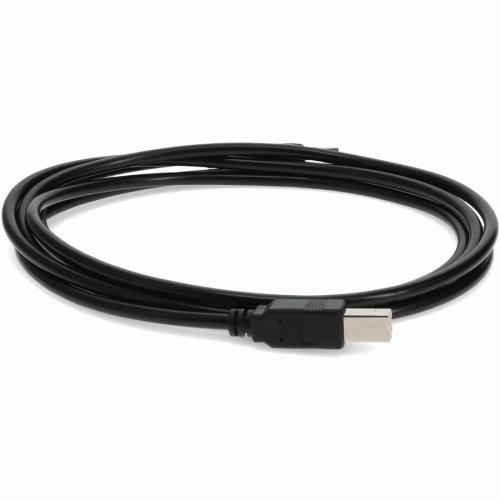 AddOn 6ft USB 2.0 (A) Male To USB 2.0 (B) Male Black Cable Alternate-Image6/500