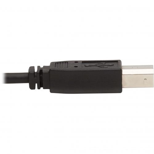 Tripp Lite By Eaton DisplayPort KVM Cable Kit, 3 In 1   4K DisplayPort, USB, 3.5 Mm Audio (3xM/3xM), 4:4:4, 6 Ft. (1.83 M), Black Alternate-Image6/500