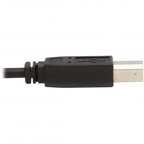 Tripp Lite By Eaton Dual DisplayPort KVM Cable Kit   DP, USB, 3.5 Mm Audio (3xM/3xM) + DP (M/M), 4K, 4:4:4, 6 Ft. (1.83 M), Black Alternate-Image6/500