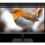 Asus ProArt PA32UCX PK 32" 4K UHD Mini LED LCD Monitor   16:9   Black Alternate-Image7/500