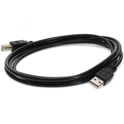 30ft (9m) USB A 2.0 Male To USB B 2.0 Male Black Printer Extension Cable Alternate-Image7/500