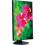 NEC Display MultiSync E221N BK 22" Class Full HD LCD Monitor   16:9 Bottom/500