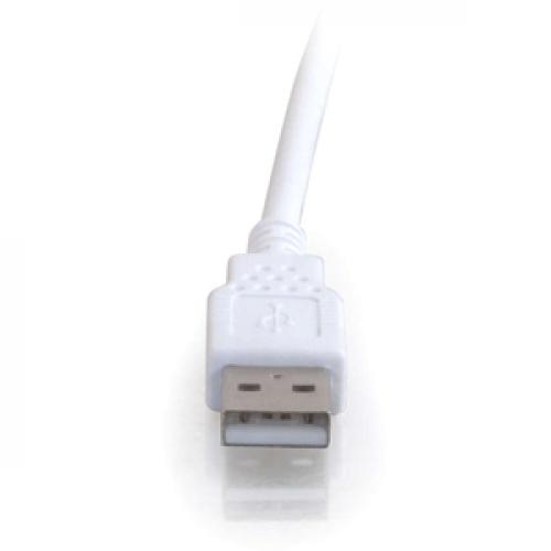 C2G 3m (10ft) USB Extension Cable   USB 2.0 A To USB A   M/F Front/500