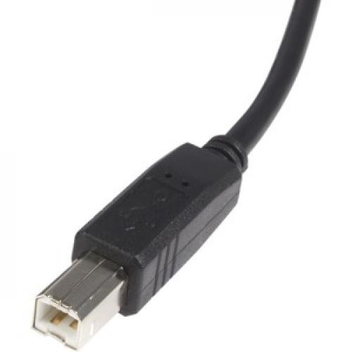 StarTech.com High Speed Certified USB 2.0   USB Cable   4 Pin USB Type A (M)   4 Pin USB Type B (M)   3 M ( USB / Hi Speed USB ) Front/500
