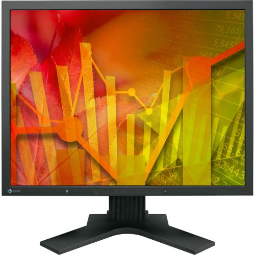 EIZO FlexScan S2133 UXGA LCD Monitor   4:3   Black Front/500