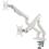 Amer Mounts HYDRA2A Desk Mount For Display Screen, Curved Screen Display, Monitor   Space Gray, Textured White Left/500