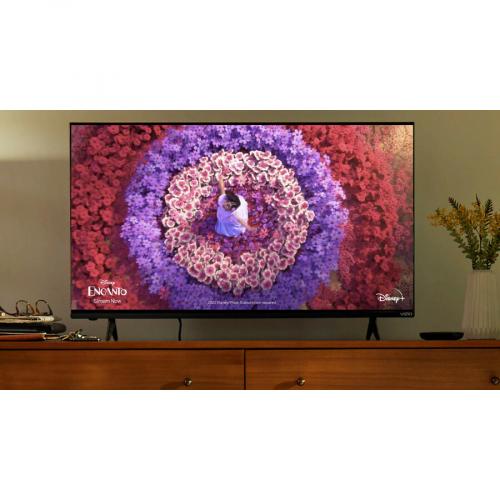 VIZIO D D32FM K01 31.5" Smart LED LCD TV   HDTV Life-Style/500