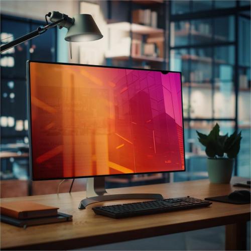 StarTech.com 24 Inch 16:9 Gold Monitor Privacy Screen, Reversible Filter W/Enhanced Privacy, Screen Protector/Shield, +/  30&deg; View Angle Life-Style/500