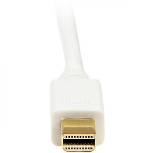 StarTech.com 6 Ft Mini DisplayPort To DVI Adapter Converter Cable   Mini DP To DVI 1920x1200   White Rear/500