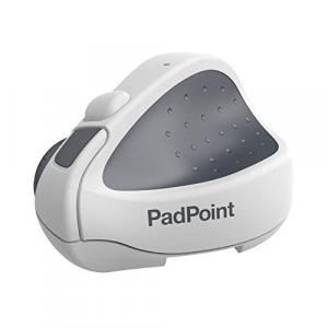 Ergoguys PadPoint Mouse